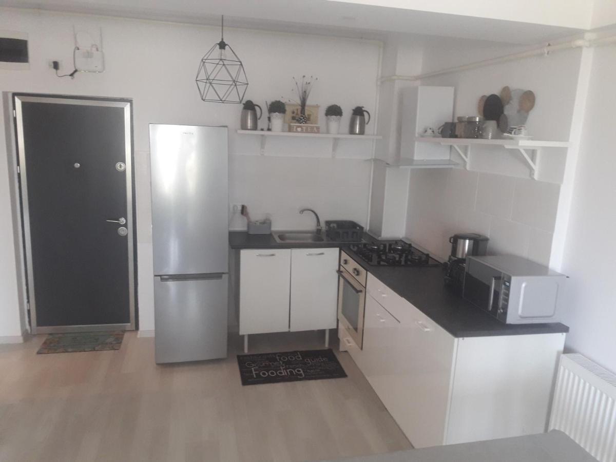 Apartament Amphora Pe Plaja Năvodari Kültér fotó